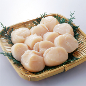 Frozen Scallop Meat